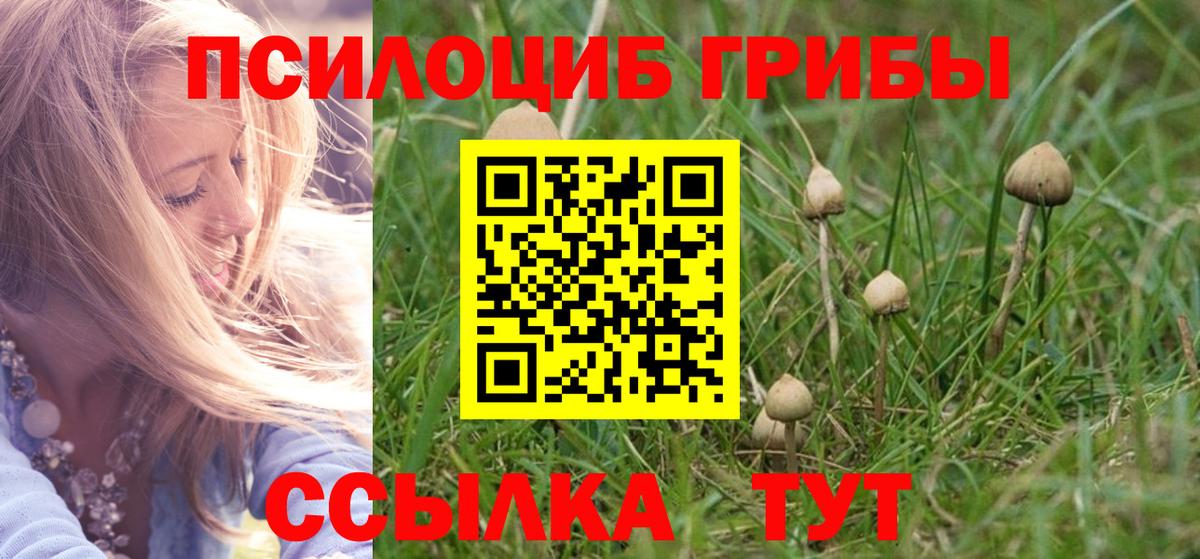 Псилоцибиновые грибы мицелий  Псилоцибиновые грибы MAGIC MUSHROOMS  Вход с VPN  Сафоново 